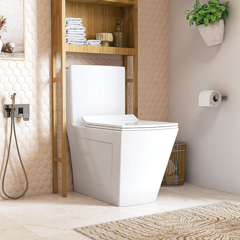 توالت فرنگی چینی کرد مدل ورونیا منوبلاک ( Chini cord Veronia)