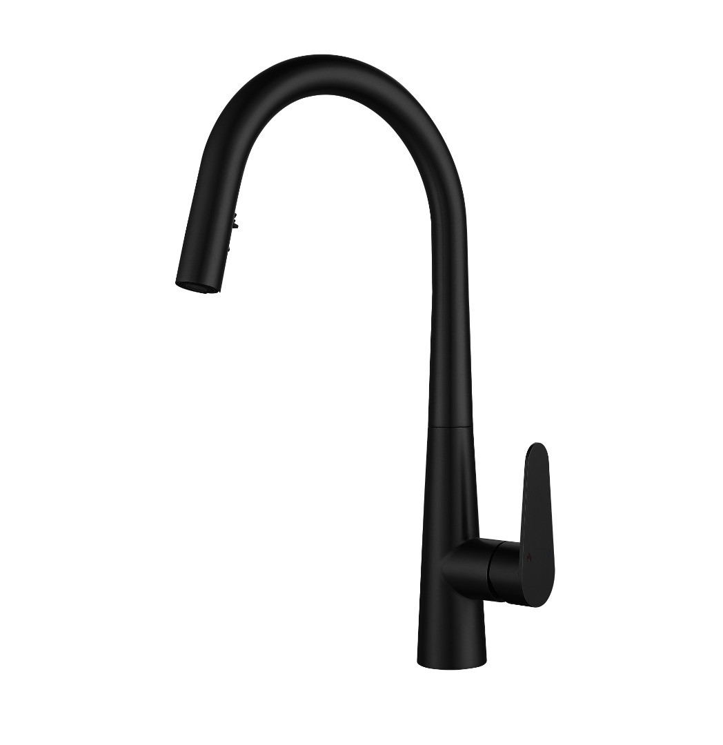 شیر ظرفشویی زانتی 4733 شاوری مشکی (Zanetti) + ارسال رایگان